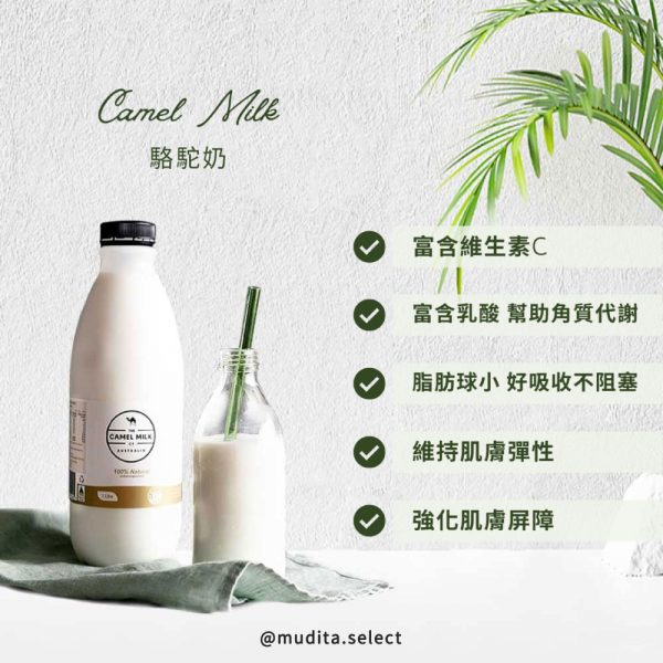 Camel Milk 駱駝奶 v富含維生素C v富含乳酸, 幫助角質代謝 v脂肪球小, 好吸收不阻塞 v維持肌膚彈性 v強化肌膚屏障 @mudita.select