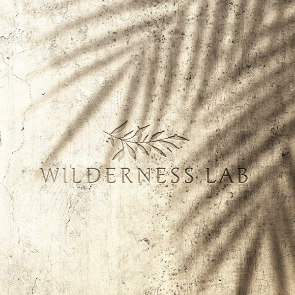 logo of WILDERNESS LAB