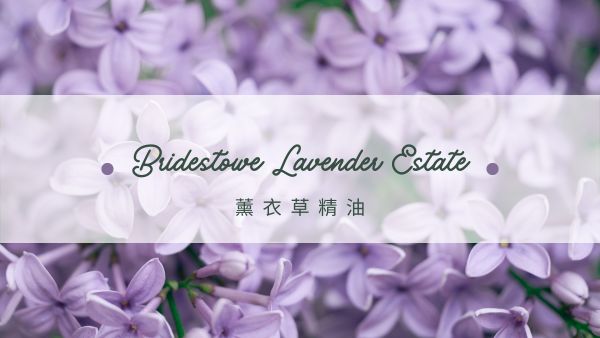 Bridestowe薰衣草精油故事首圖