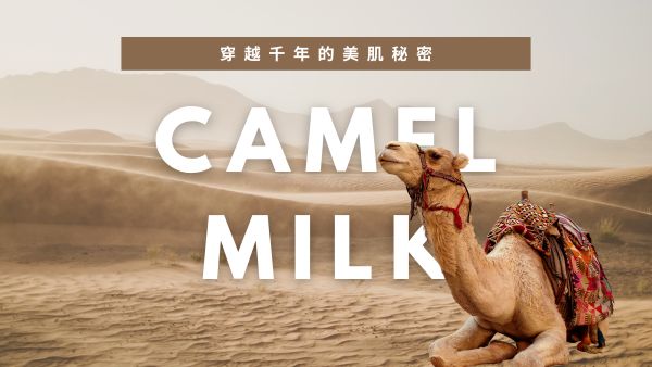 穿越千年的美肌秘密 CAMEL MILK