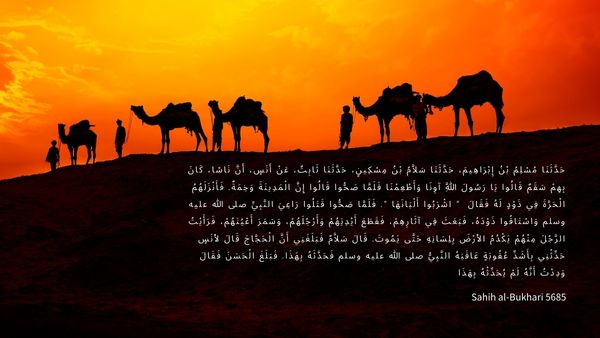 Sahih al-Bukhari 5685原文內容