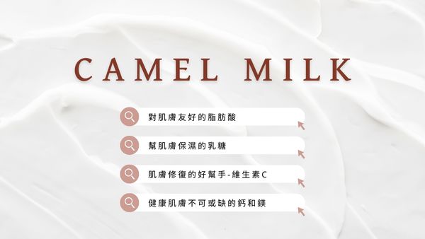 CAMEL MILK 對肌膚友好的脂肪酸、幫肌膚保濕的乳糖、肌膚修復的好幫手-維生素C、健康肌膚不可或缺的鈣和鎂