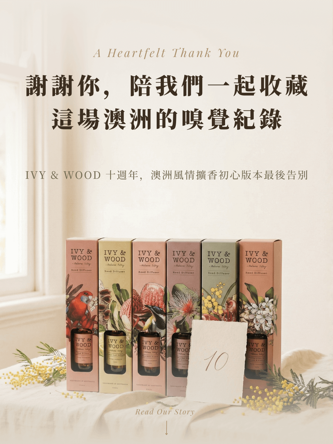 IVY & WOOD 十週年感言：MUDITA 選物者誠實分享包裝進化歷程，初心版本擴香限額回饋，為都會女性莉莉打造的居家儀式感。