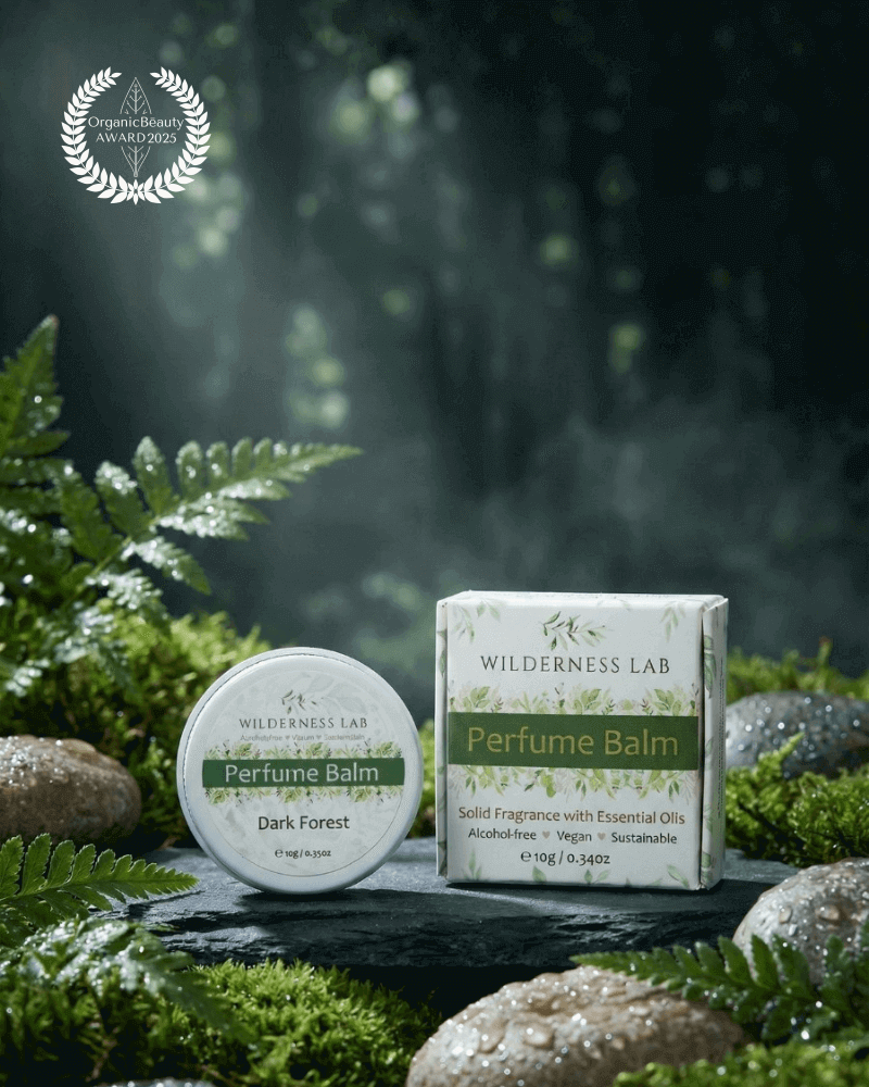 深森之夜 Dark Forest