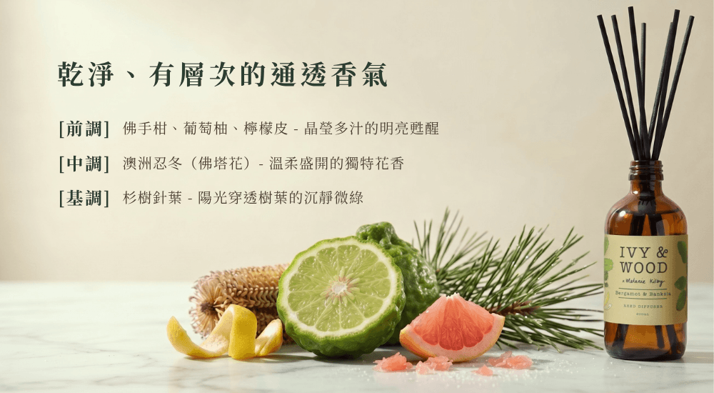 IVY & WOOD 佛手柑與澳洲忍冬擴香瓶三段香氣層次解構：前調佛手柑與葡萄柚、中調溫柔盛開澳洲忍冬、基調杉樹針葉沉靜微綠