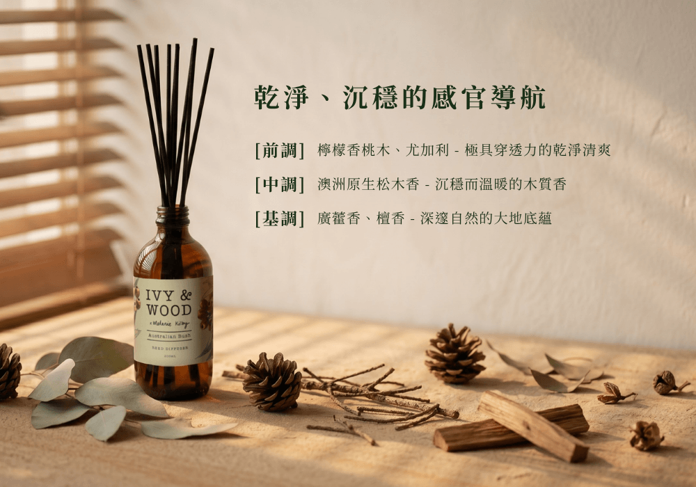 IVY & WOOD 原野精靈擴香瓶香氣三段論。左側平鋪澳洲原生植物圓葉尤加利葉、乾燥松果與原木塊，右側幾何排版清晰解構前中基調香氣層次。