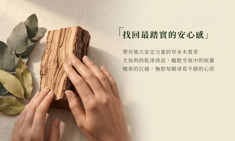IVY & WOOD 原野精靈擴香瓶成分故事。一雙優雅乾淨的手在晨光影中溫柔撫摸著粗糙溫暖的原木紋理，標題『在大地的沉穩香氣中，找回最踏實的安心感』。
