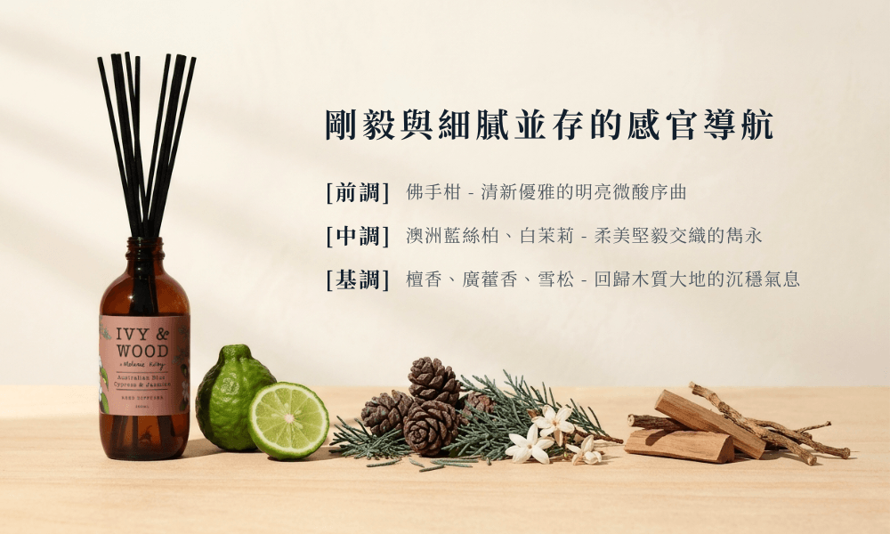 澳洲藍絲柏與茉莉擴香瓶之香氣三段論成分解構，前調佛手柑、中調澳洲藍絲柏與白茉莉、基調檀香廣藿香雪松的乾燥植物實物陳列