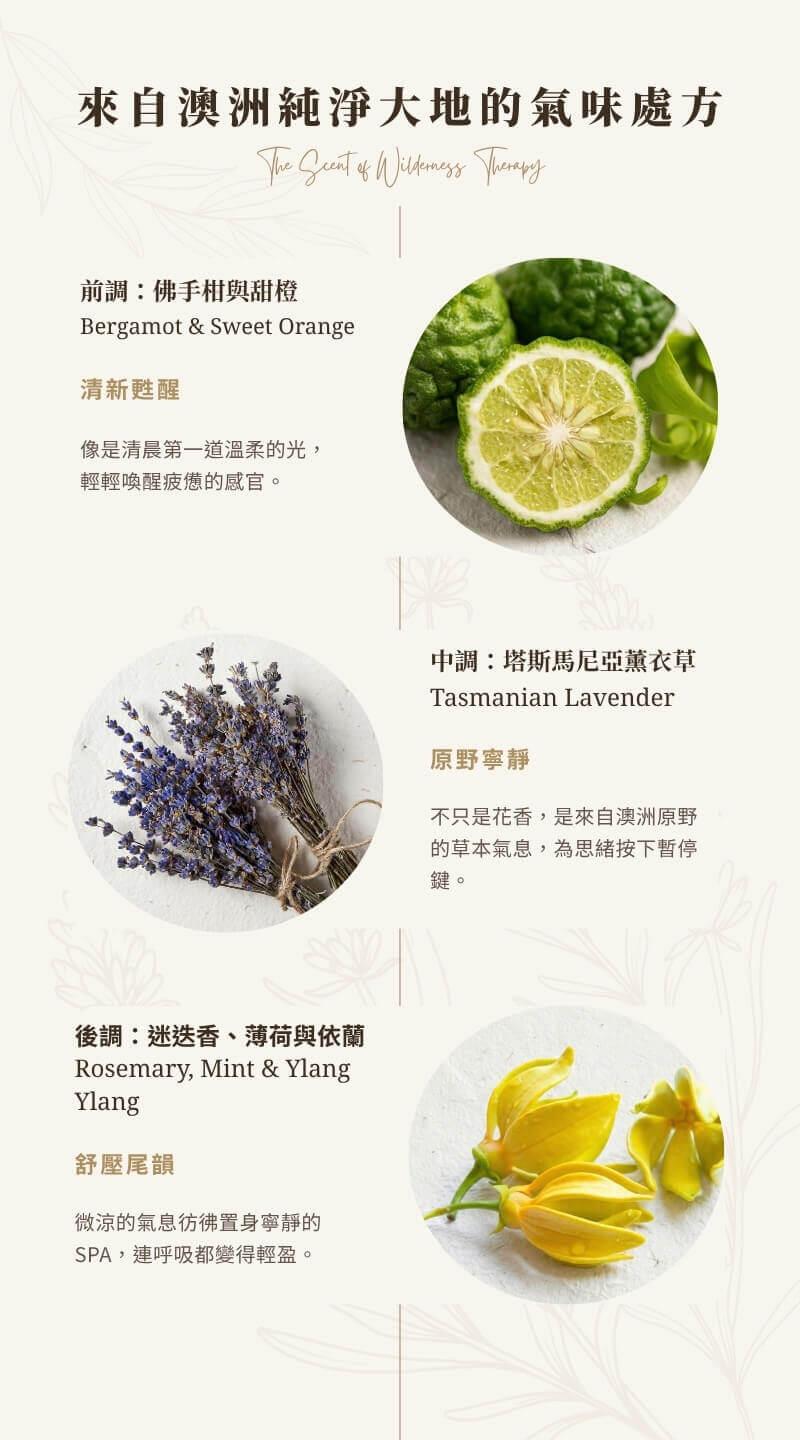 靈寧舒香固體香膏香調解析：來自澳洲純淨大地的氣味處方。前調佛手柑與甜橙清新甦醒、中調塔斯馬尼亞薰衣草原野寧靜、後調迷迭香薄荷與依蘭舒壓尾韻，純天然植物精油調香